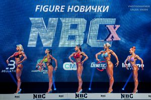 FIGURE НОВИЧКИ
